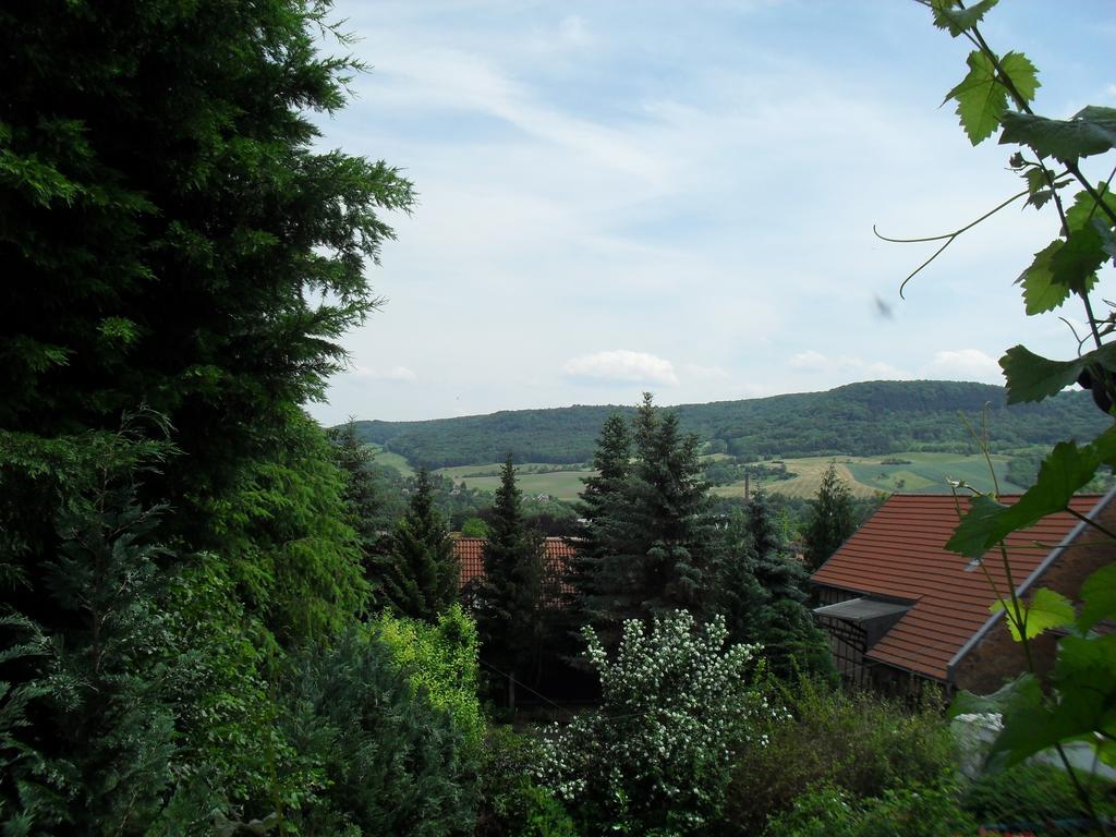 Ferienwohnung Bergblick Iéna Chambre photo